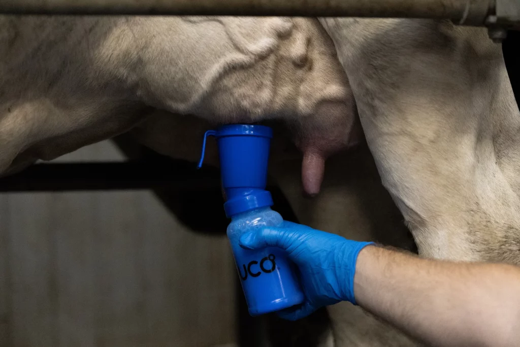 Uco Udder care